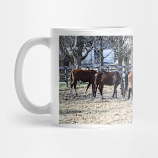 Grazing in the Sun Mug